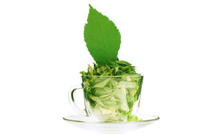 绿茶是什么意思