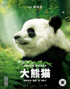 国宝大熊猫的外貌