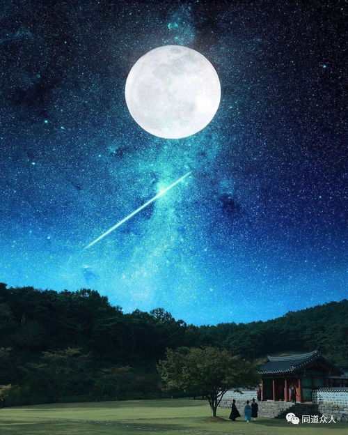 综韩剧含有云画的月光