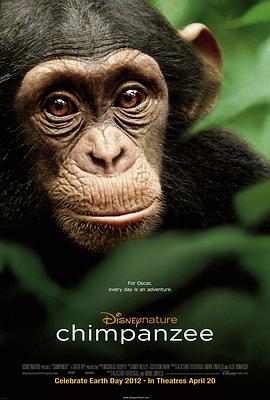 黑猩猩免费观看