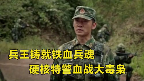 中华兵王电视剧